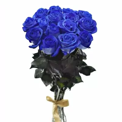 Kytice 15 modrých růží BLUE VENDELA