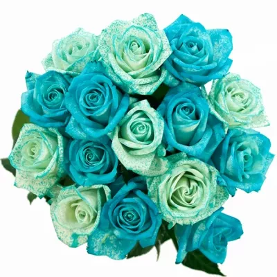 Míchaná kytice 15 modrých růží ICE BLUE ADRIANA 70 cm