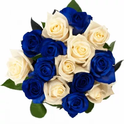 Jednodruhová kytice 15 modrých růží MARIANNA 50 cm
