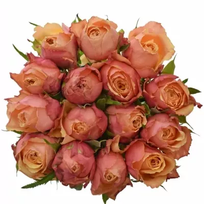 Kytice 15 oranžovočervených růží ALTAMODA 60cm