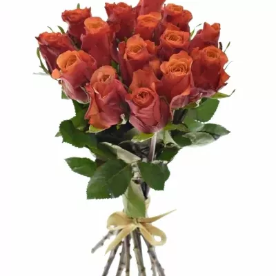 Kytice 15 oranžovočervených růží ESPANA 40cm