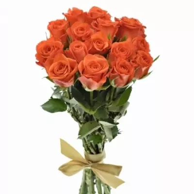 Kytice 15 oranžových růží ALMANZA