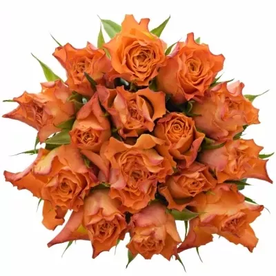 Kytice 15 oranžových růží AMINA 50cm