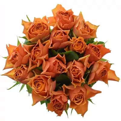 Kytice 15 oranžových růží ARANCIO 40cm