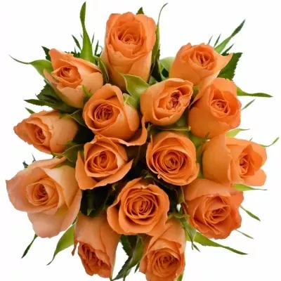 Kytice 15 oranžových růží CHELSEA 40cm