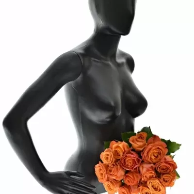 Kytice 15 oranžových růží CLARENCE+ 60cm