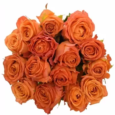 Jednodruhová kytice 15 oranžových růží CLARENCE 90 cm