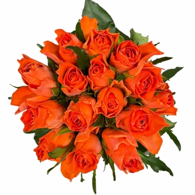 Kytice 15 oranžových růží COMANCHE 50 cm