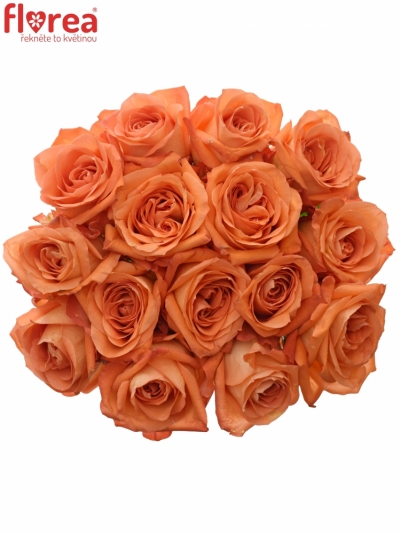 Kytice 15 oranžových růží COPACABANA 60cm