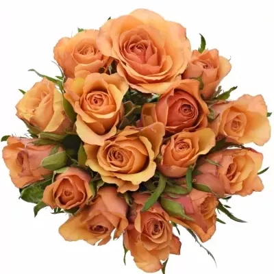 Kytice 15 oranžových růží JULIA 40cm
