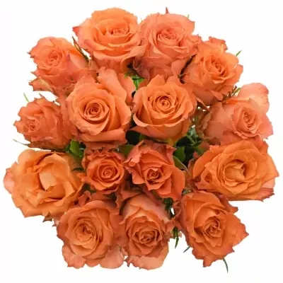 Kytice 15 oranžových růží JULISCHKA 60cm