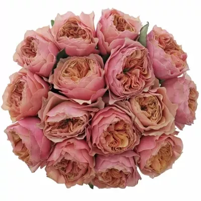 Kytica 15 oranžových ruží KENSIN GARDENS! 35cm
