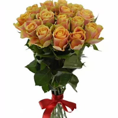 Kytice 15 oranžových růží MARACUJA 40cm