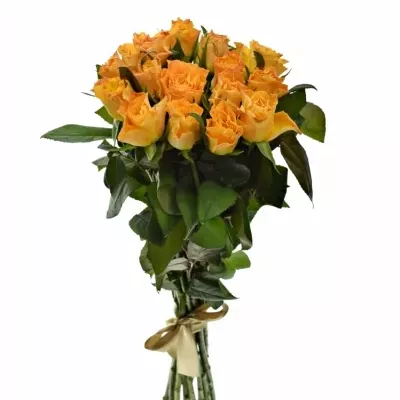 Kytice 15 oranžových růží MARIE-CLAIRE! 60cm