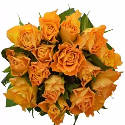 Jednodruhová kytice 15 oranžových růží MARIE-CLAIRE! 80 cm