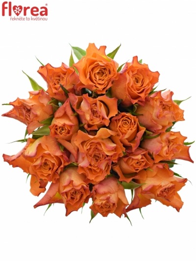 Kytice 15 oranžových růží MARIYO! 50cm