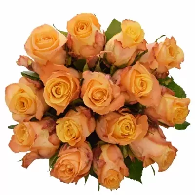 Jednodruhová kytice 15 oranžových růží MONALISA 50 cm