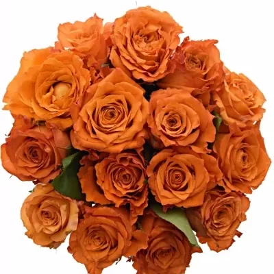 Kytice 15 oranžových růží Mpesa 40cm