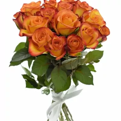 Kytice 15 oranžových růží OUTLAW! 40cm