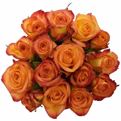 Kytice 15 oranžových růží OUTLAW! 40cm