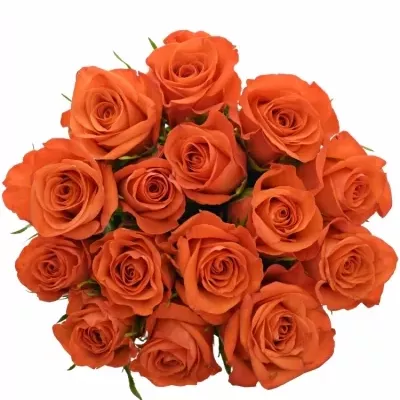 Kytice 15 oranžových růží PATZ 40cm