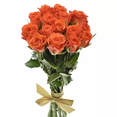 Kytice 15 oranžových růží PATZ 60cm