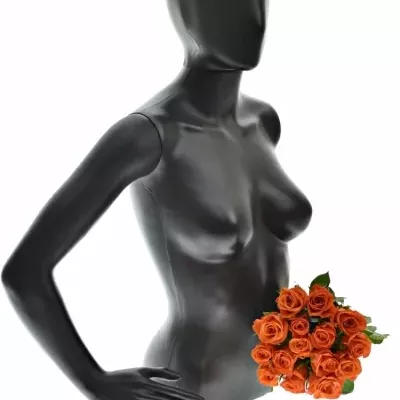 Kytica 15 oranžových ruží Patz 60cm