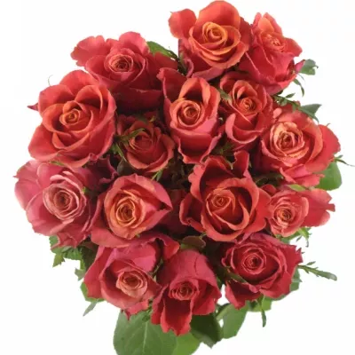 Kytice 15 oranžových růží ROXY 60cm