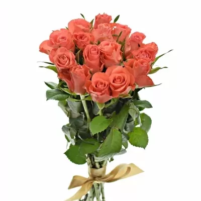 Kytice 15 oranžových růží SIMBA 50cm