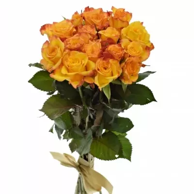 Kytice 15 oranžových růží TIEBREAK 60cm