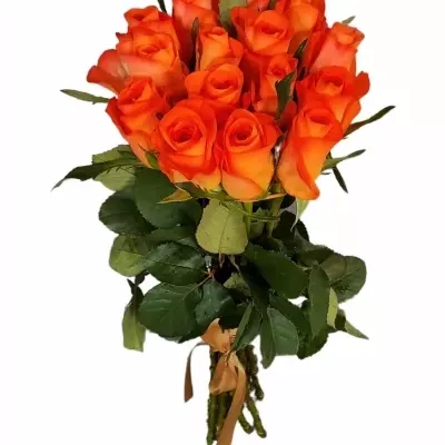 Kytice 15 oranžových růží TROPICAL AMAZONE