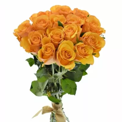 Kytice 15 oranžových růží TYCOON