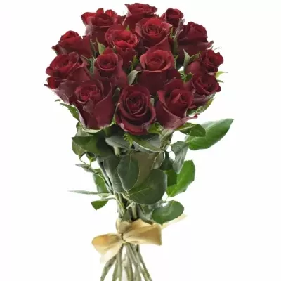 Kytice 15 rudých růží BURGUNDY 50cm 