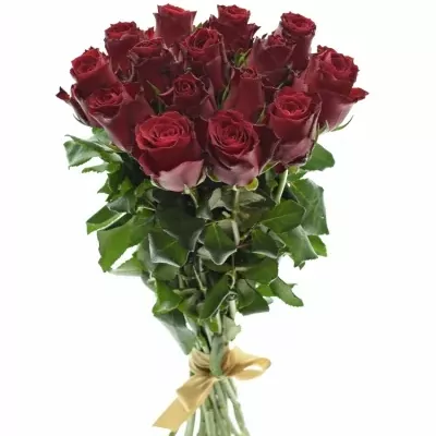 Kytice 15 rudých růží MADAM RED 40cm 