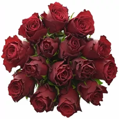 Jednodruhová kytice 15 červených růží MADAM RED 80 cm