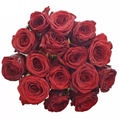 Jednodruhová kytice 15 červených růží RED NAOMI! 60 cm