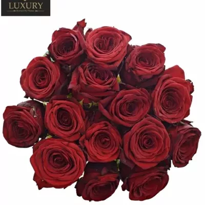 Kytica 15 červených ruží RED NAOMI! 50cm