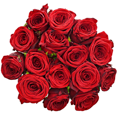 Jednodruhová kytice 15 červených růží RED NAOMI! 70 cm