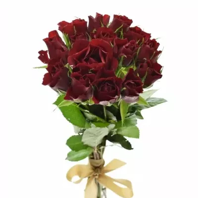 Kytice 15 rudých růží RED TIFFANY