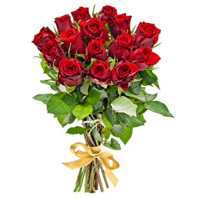 Kytice 15 rudých růží RED TORCH 40cm