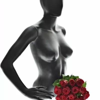 Kytice 15 rudých růží RHODOS 70cm