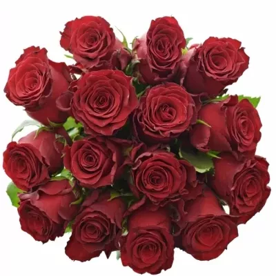 Jednodruhová kytice 15 červených růží RHODOS 50 cm