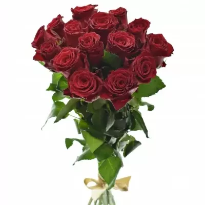 Kytice 15 rudých růží RHODOS