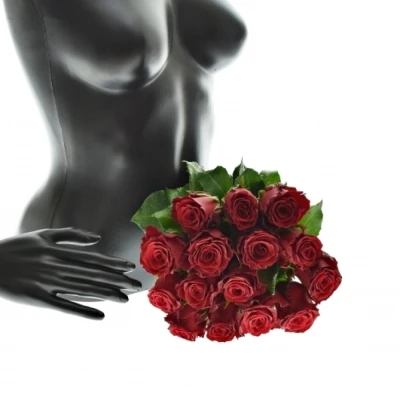 Kytice 15 rudých růží RHODOS