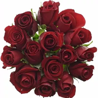 Kytice 15 rudých růží THUNDER 40cm