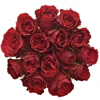 Kytice 15 rudých růží UPPER CLASS 70cm 