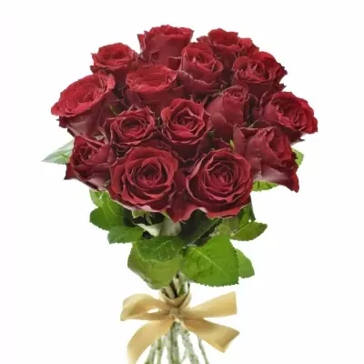 Kytice 15 rudých růží UPPER CLASS 40cm 
