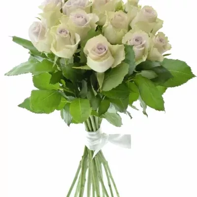 Kytice 15 růží AIRLA 50cm