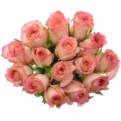 Kytica 15 ruží DUO UNIQUE 40cm