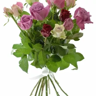 Kytice 15 růží MEGAN 50cm